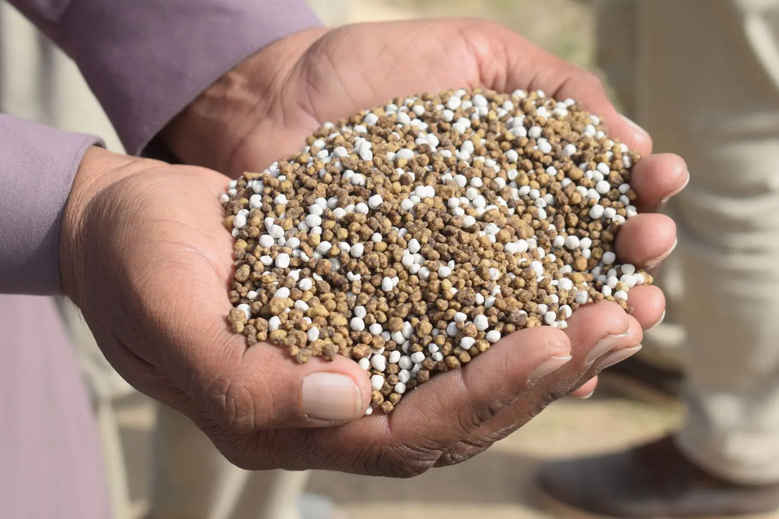 Granular fertiliser held above a cultivated field