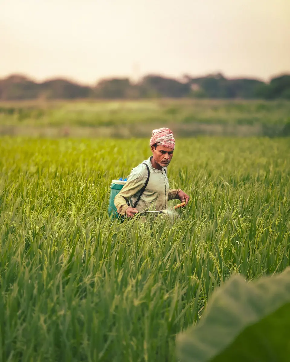 Farmer using a backpack crop sprayer in a green field