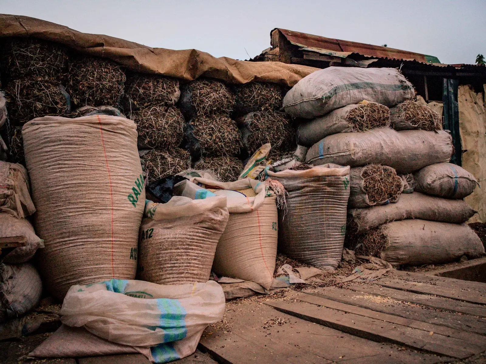 Open sacks of seeds and harvested crops at a Kaduna market